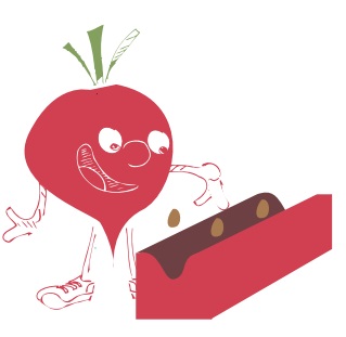 semer-radis semer des radis au potager